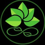 اِتِرنال فلاورز آرتیفشیال